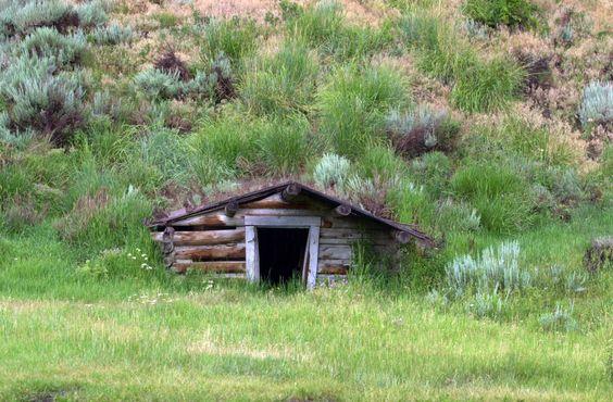 Dugout Home