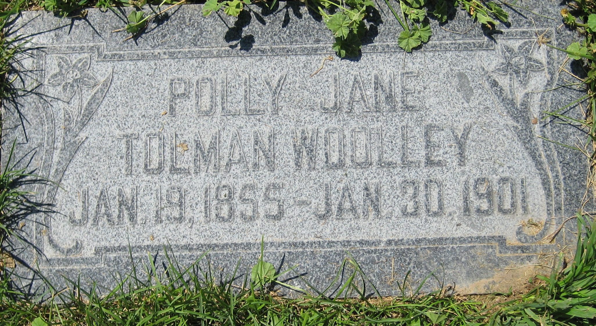 Polly Jane Tolman (1855-1901)